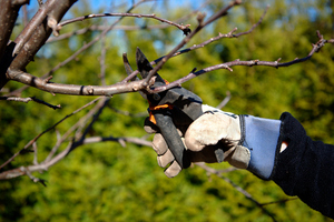 Products: Hawkes Bay Arborist