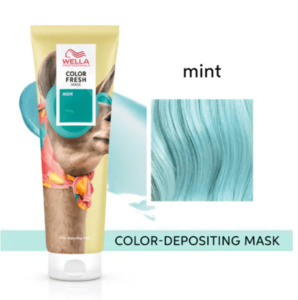 Products: Colour Fresh Mask Mint Jingles Hair Design