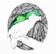 Kakapo Print