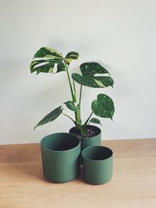 Elho Leaf Green Round Pot