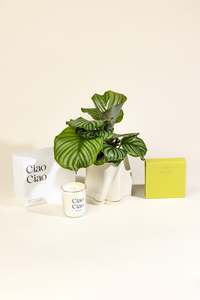 Gifts: The Luxe Collection