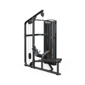 Pin Loaded Machine: Matrix Versa Lat Pulldown / Seated Row