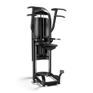 Matrix Aura Dip / Chin Assist