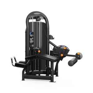 Matrix Aura Prone Leg Curl