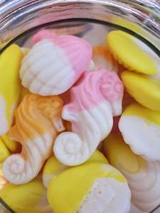 sea horse: Seahorse and shells