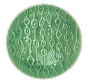 Kowhai Seed Ceramics: kowhai seed: dark green