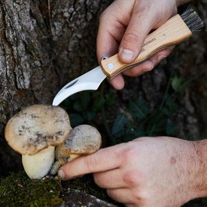 Products: Foraging Knife