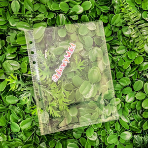 Loose Leaf Accessories: Clear Planner Pockets | A5 Single Pocket