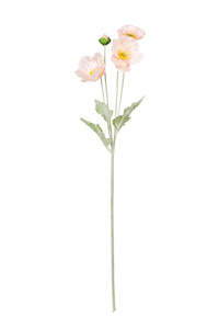 Iceland Poppy Spray - 62cm Blush