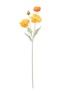 Iceland Poppy Spray - 62cm Orange
