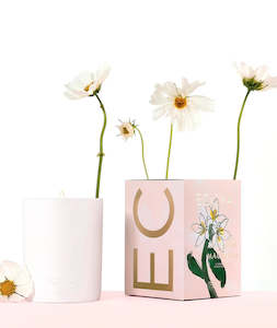 Candles Ecoya: Candle - Citrus Blossom & Magnolia - Ecoya
