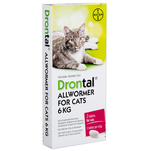 Products: Drontal Worm Treatment For Cats 6kg - Joycat Boutique