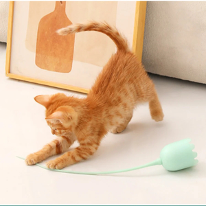 Automatic Silicone Tail Teaser - Joycat Boutique