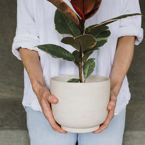 Planters: Planter, Swirl Custom