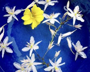 Products: attunement