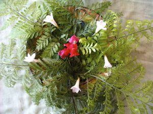 Spring Attunement
