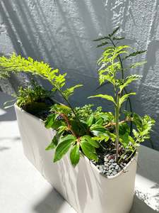 Homewares: Haan Planter