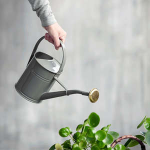 Homewares: Wave Watering Can 2L