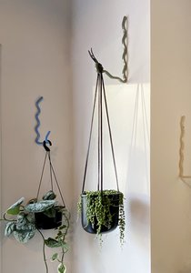 Homewares: Wiggle Plant Hook