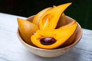 Canistel, 'Eggfruit' Seedling