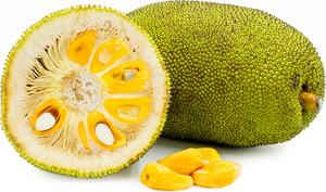 Tropical Fruits: Jackfruit 'Yellow' Seedling