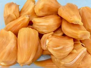Tropical Fruits: Jackfruit 'Amber' Seedling