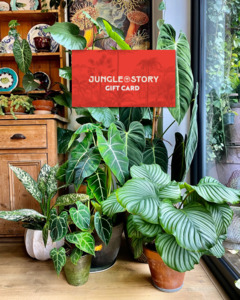 Jungle Story Gift Card