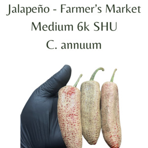 Jalapeño - Farmers Market Chilli Seeds (10 seeds)