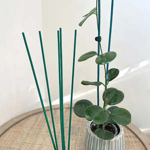 Plant Stakes Supports: Bamboo Plant Stake
