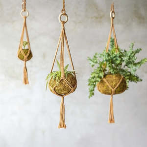 Macramé Plant Hanger