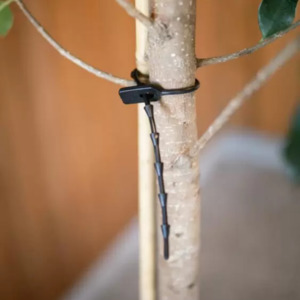 Rubber Easi Ties – Flexible, Reusable, and Tree-Friendly