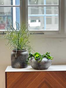 Pots Planters: Echo Pot