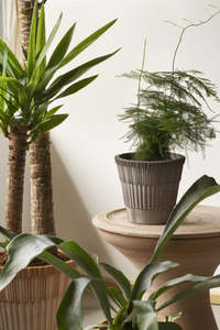 Pots Planters: Atlas planter