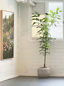 Pots Planters: Volumes pot