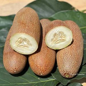 Cucumber 'Poona Kheera' (30 seeds)