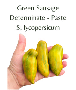 Green Sausage Tomato (10 seeds)