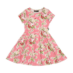 Clothing Toddler Dresses Skirts: RYK Alina Waisted Dress