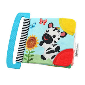 Teethers: Baby Einstein Curious Explorers Teether Book