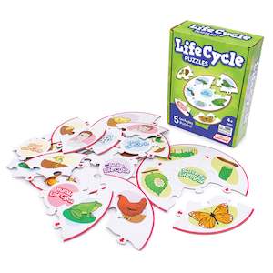 Science And Technology: Life Cycle Puzzles