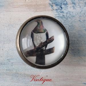 Animals And Wildlife Theme: Olivia Bezett's Kereru Native Bird antique Gold furniture Knob-38mm dia