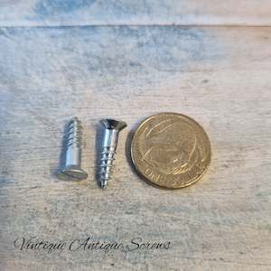 Antique Chrome plated Zinc wood screws 3/4''(19.05mm) 8 gauge (pkt20)