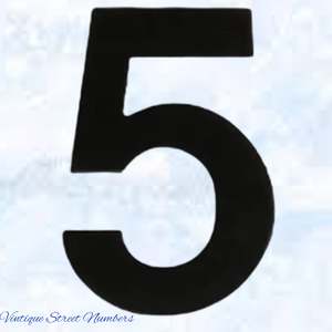 Premium 300mm Black Stainless steel floating Street number (0-9)