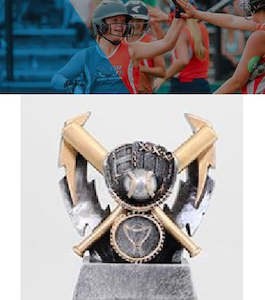 Products: Under 15 North Island Classic Softball Tournament Entry Fee