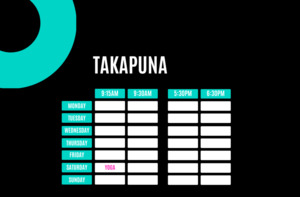 Timetables: TAKAPUNA - 79 Barrys Point Road