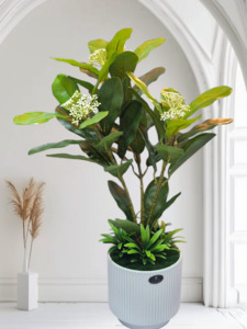 Green Plant With Vas 48cm tall