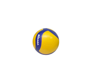 Sport: Volleyball