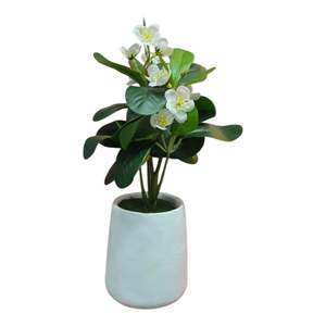 Home Decorations: Flower with Vase