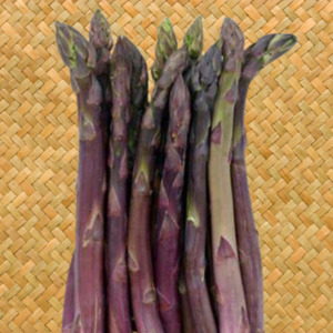 Products: Asparagus 'Precocce d'Argenteuil' - Kahikatea Farm Certified Organic Nursery and Permaculture Farm