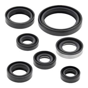 Best Selling: Oil Seal Kit 822193