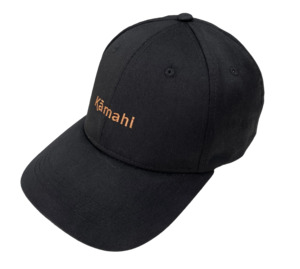 Kāmahi Black Cap